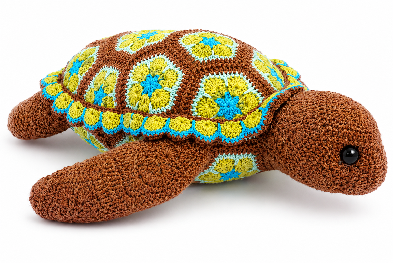 African Flower Turtle